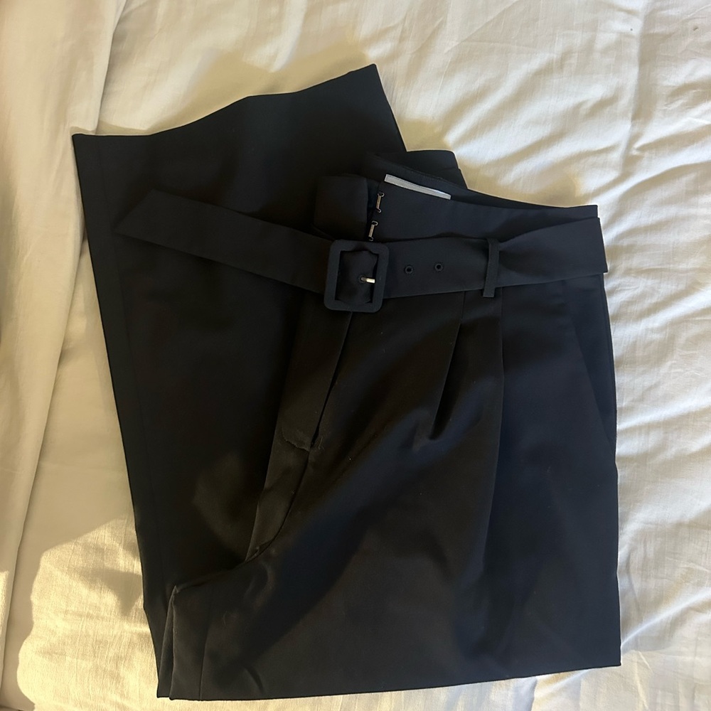 Antonio Melani Alexis Pleated Wide Leg Cropped Belted Pants